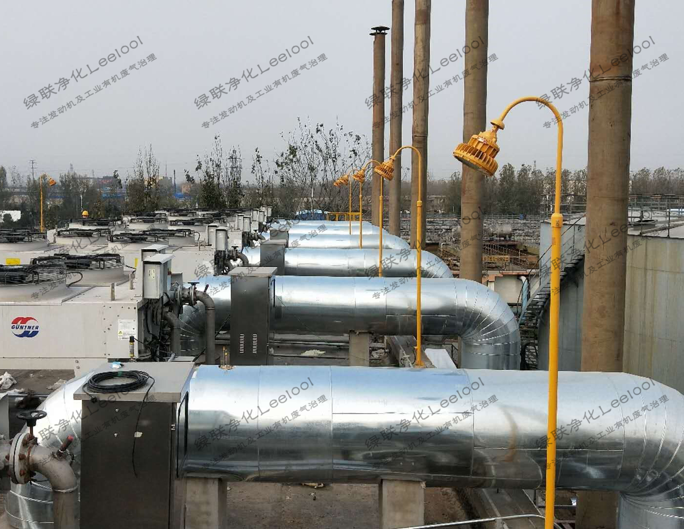 沼气发电机组SCR脱硝系统