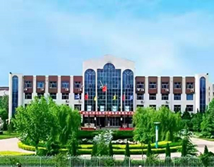 NOx治理丨某化肥厂沼气发电机组尾气脱硝治理项目