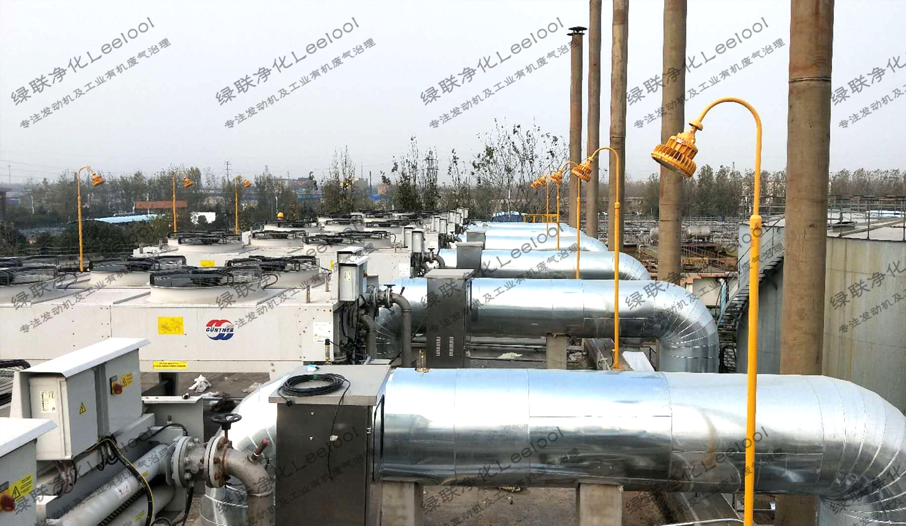 沼气发电机组脱硝