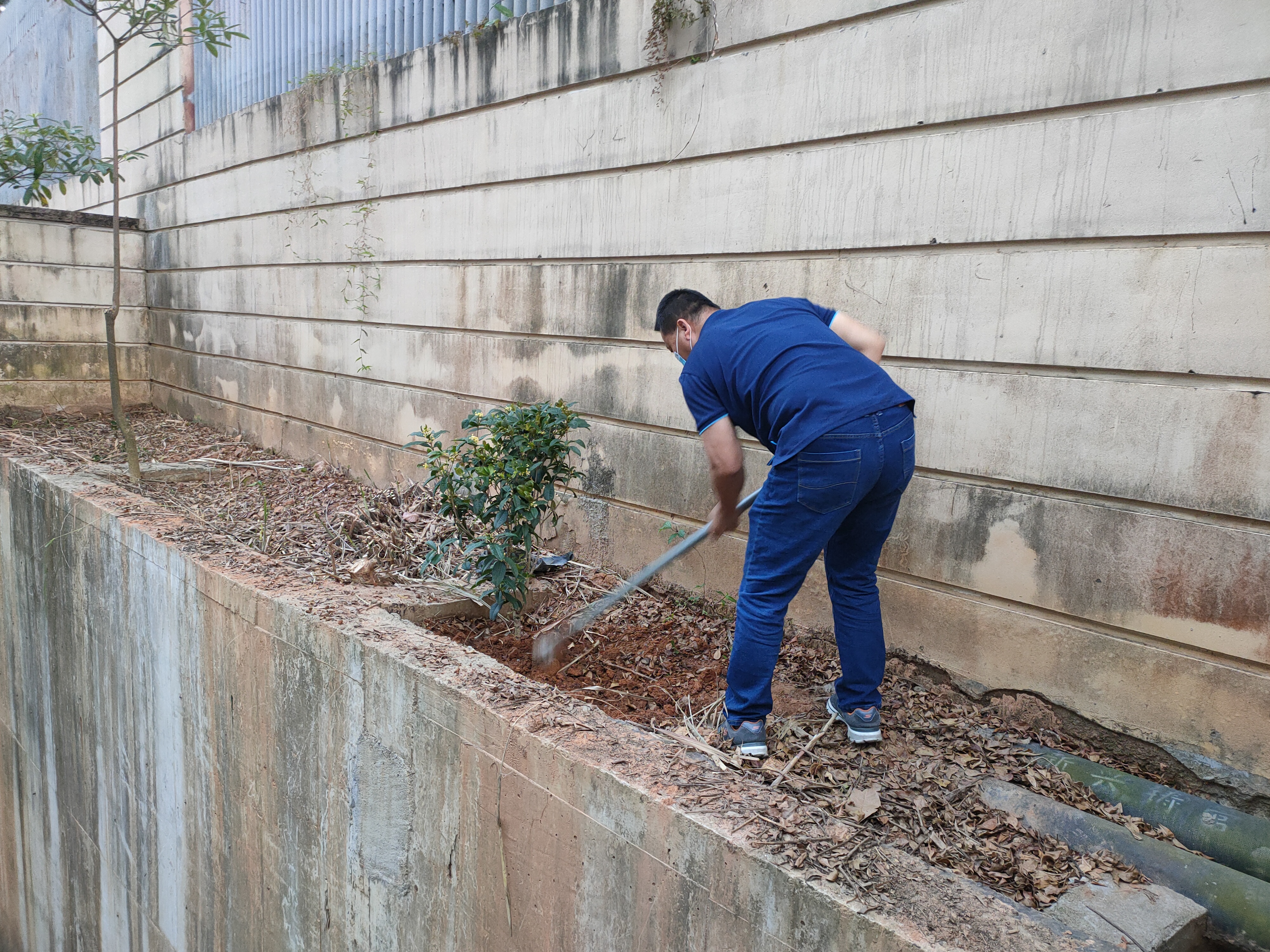 植树现场 植树现场