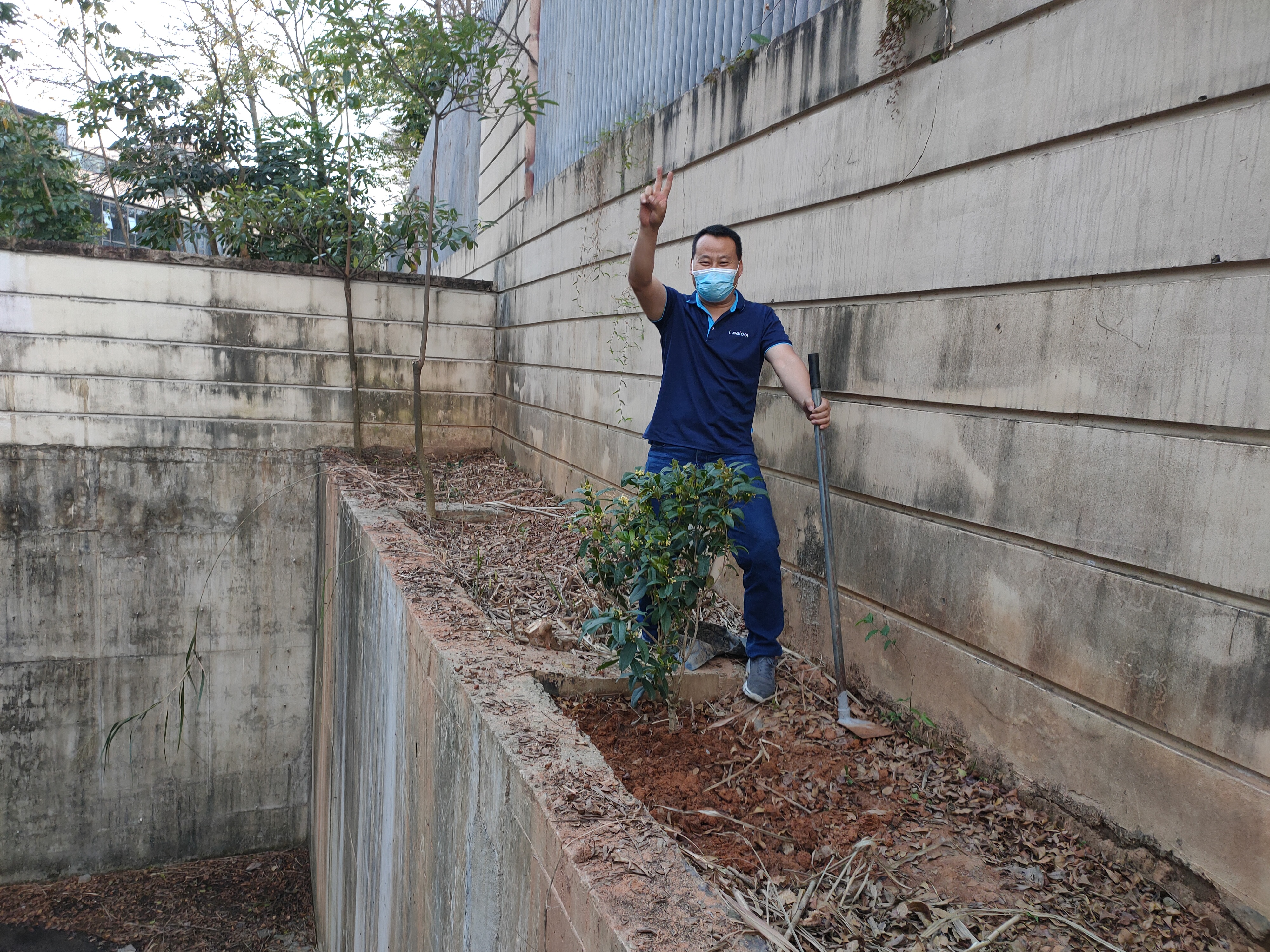 植树现场 植树现场