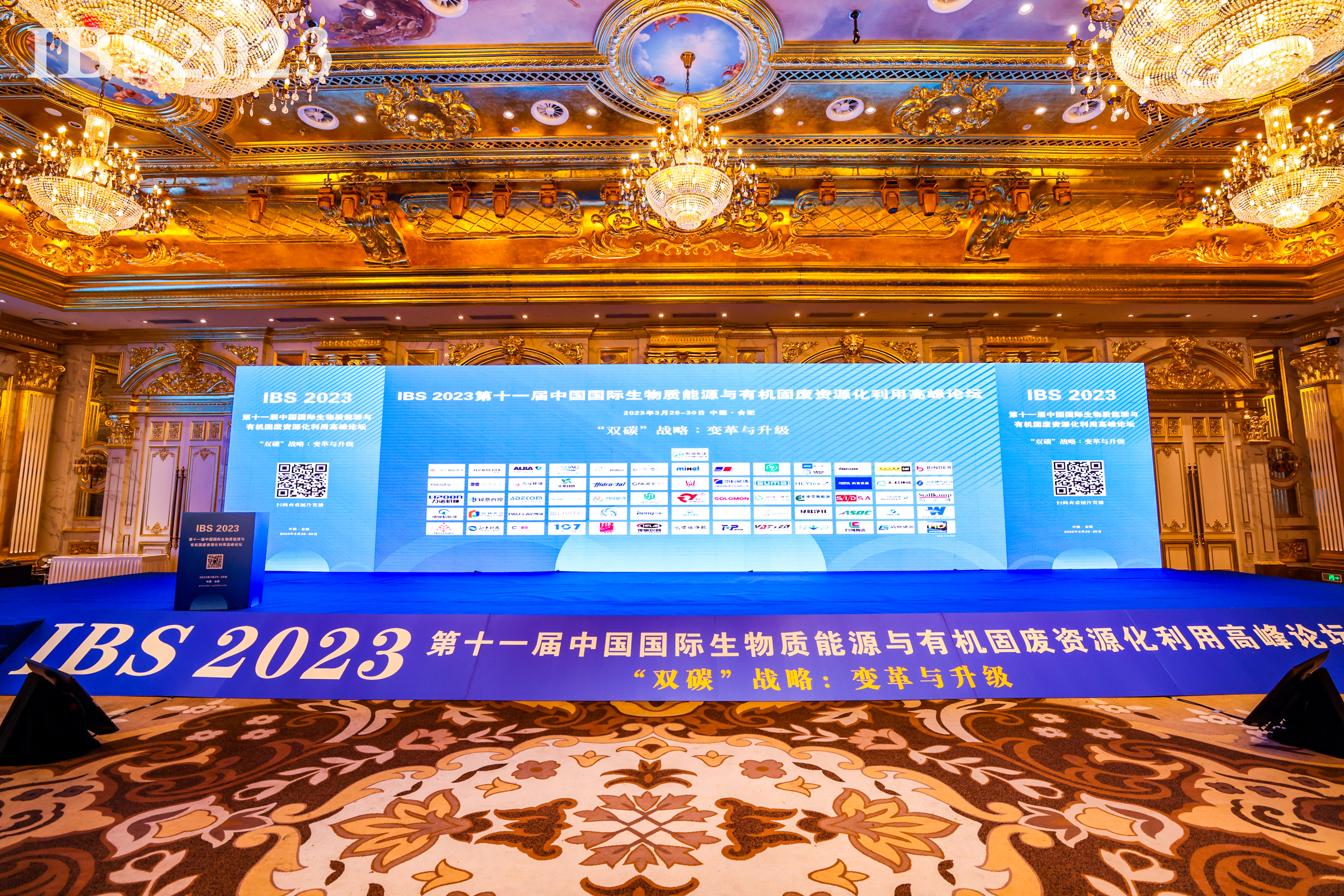 IBS论坛会场